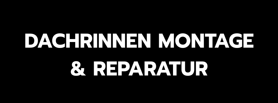 Dachreparatur-5.png